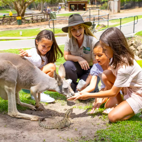 currumbin wildlife sanctuary, gold coast, australia