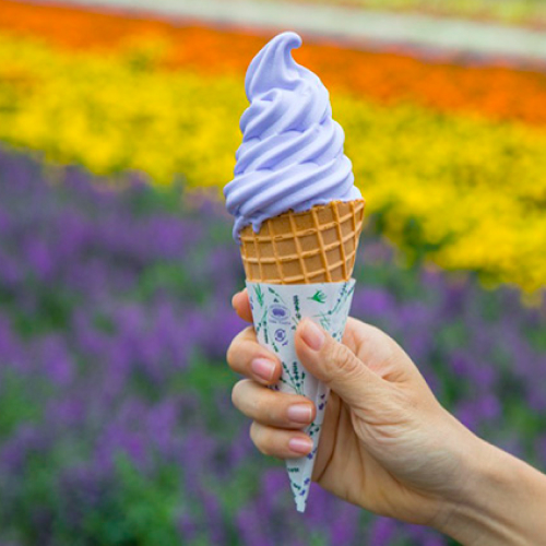 foodhunting di hokkaido, jepun