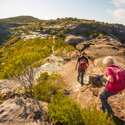hiking di di sydney, australia