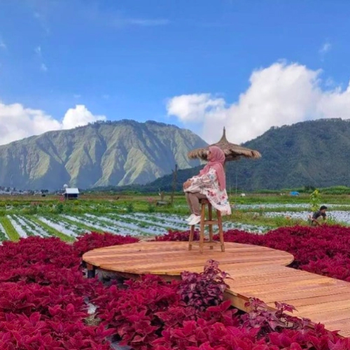 kebon sawah, lombok