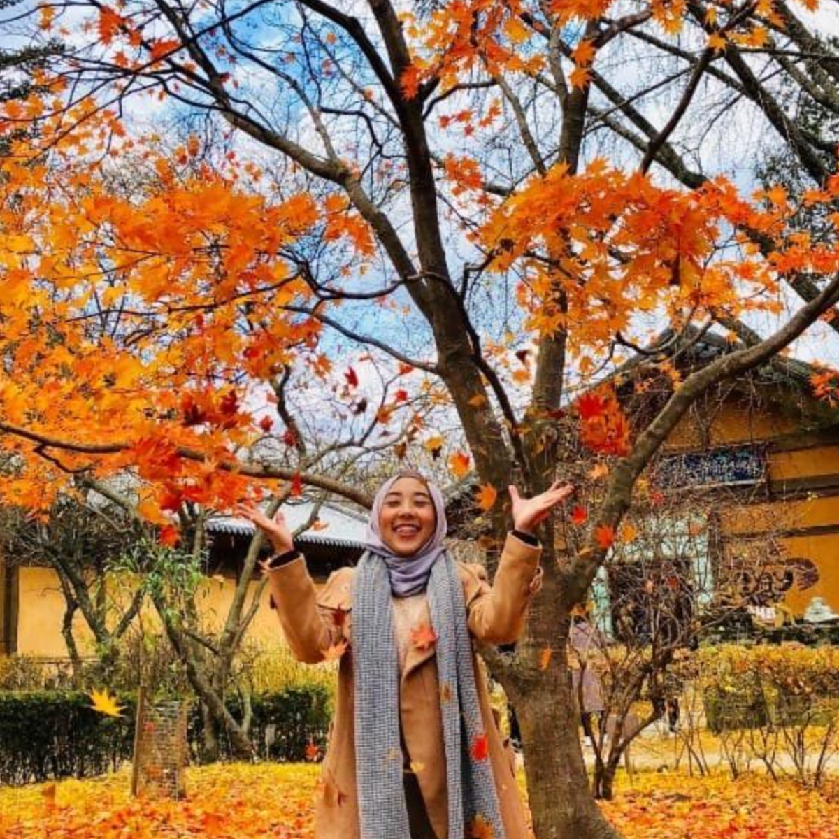 musim luruh autumn
