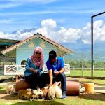 pakej honeymoon sabah