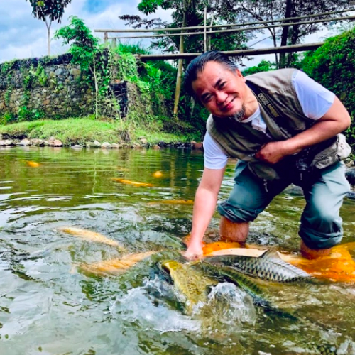fish spa, sabah