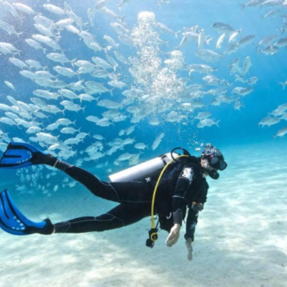 scuba diving di pulau perhentian