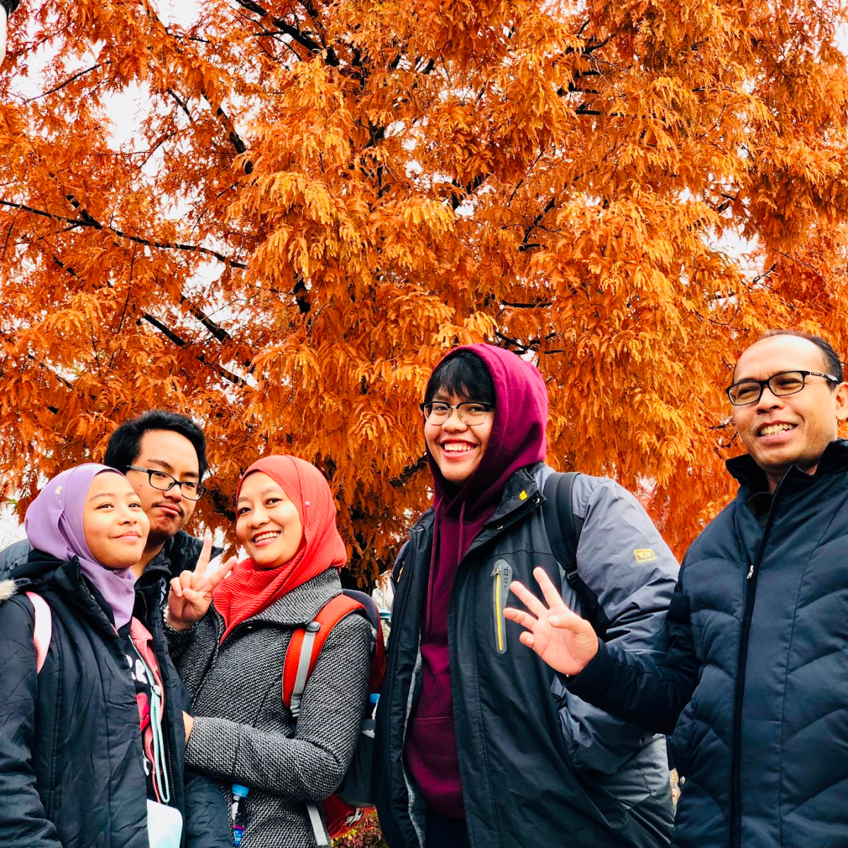melancong ke korea