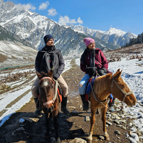 naik kuda di kashmir
