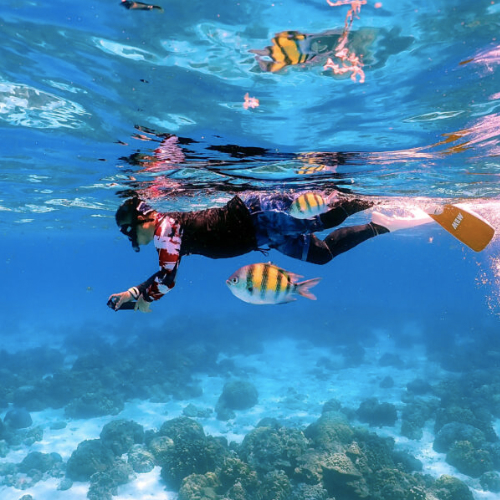 snorkeling di phuket