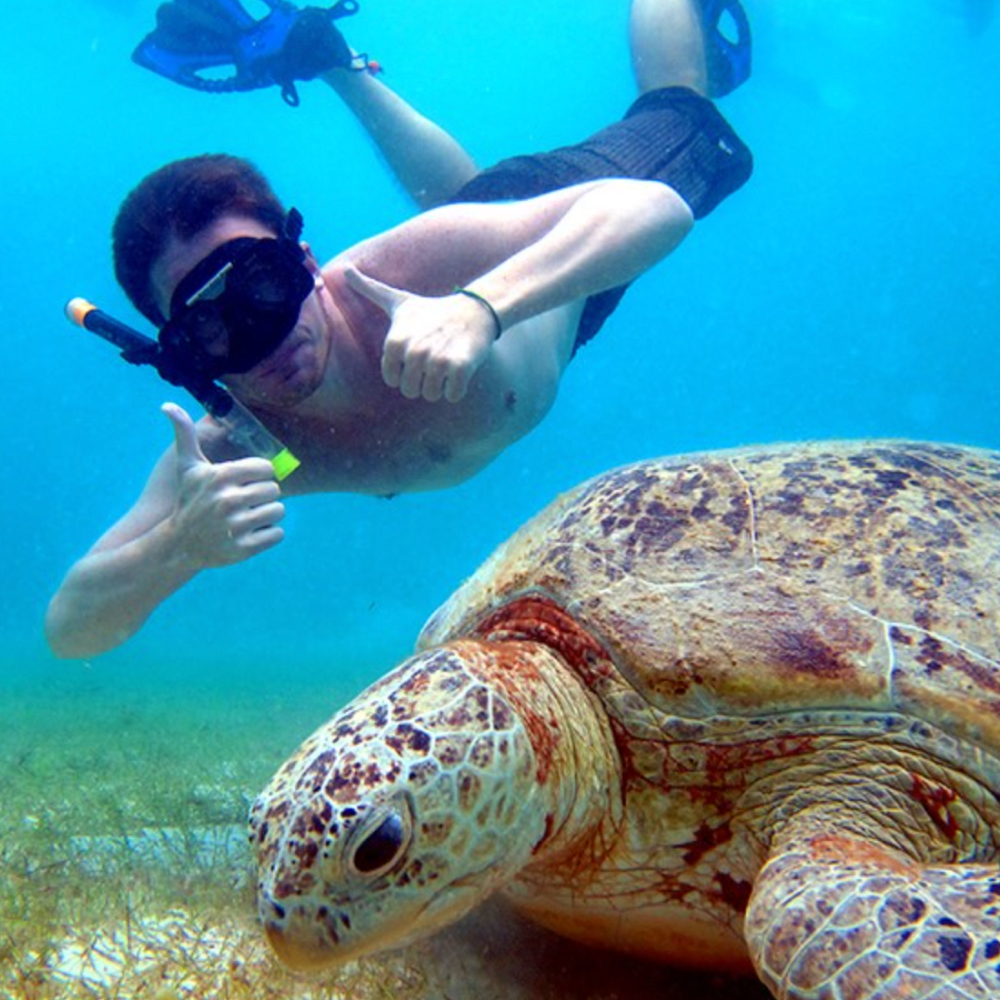 turtle point pulau perhentian
