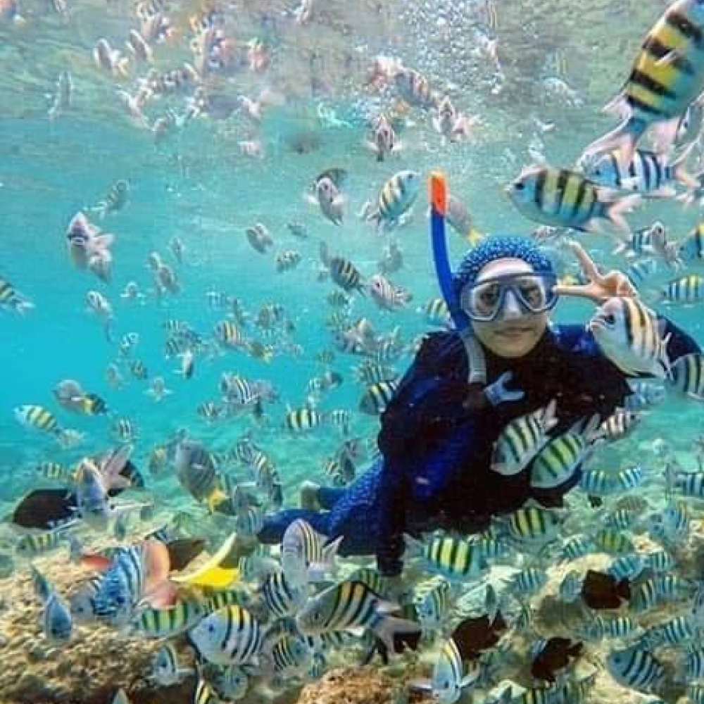fish point pulau perhentian