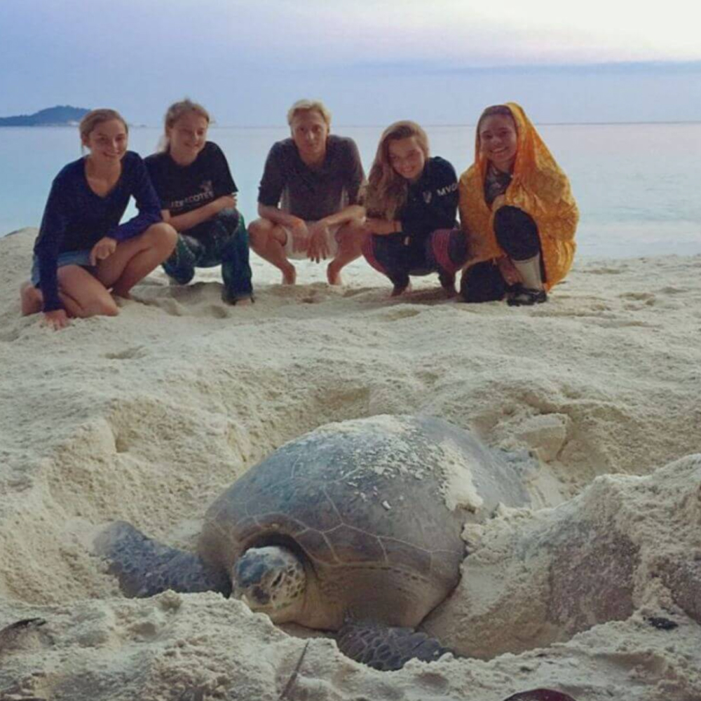 turtle beach pulau perhentian
