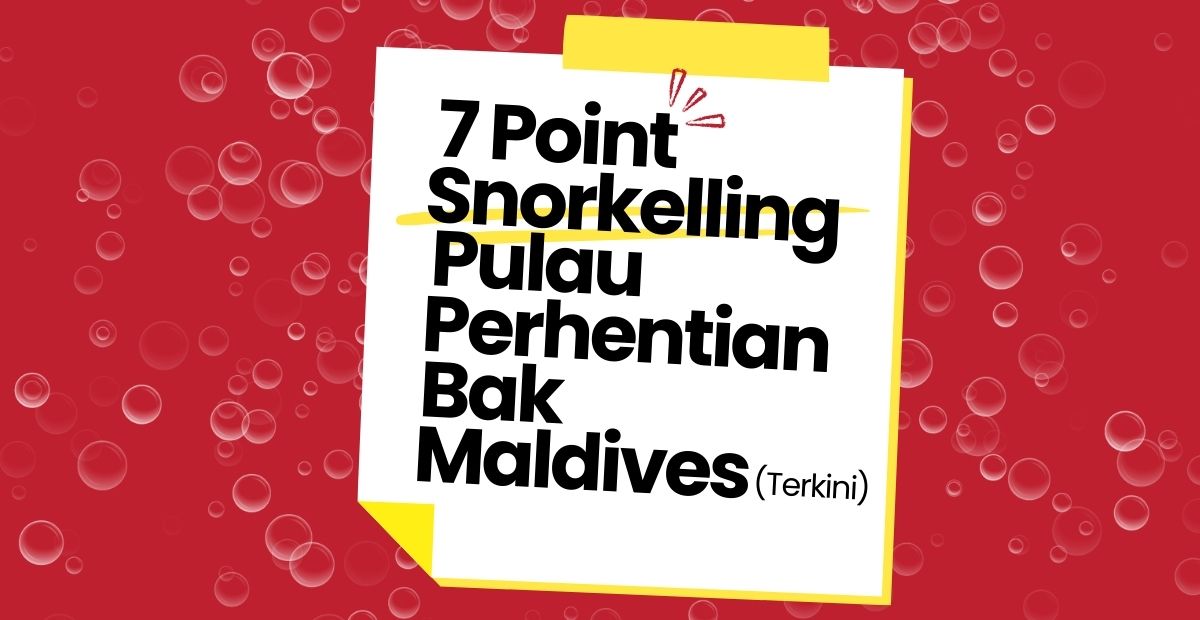 snorkeling pulau perhentian