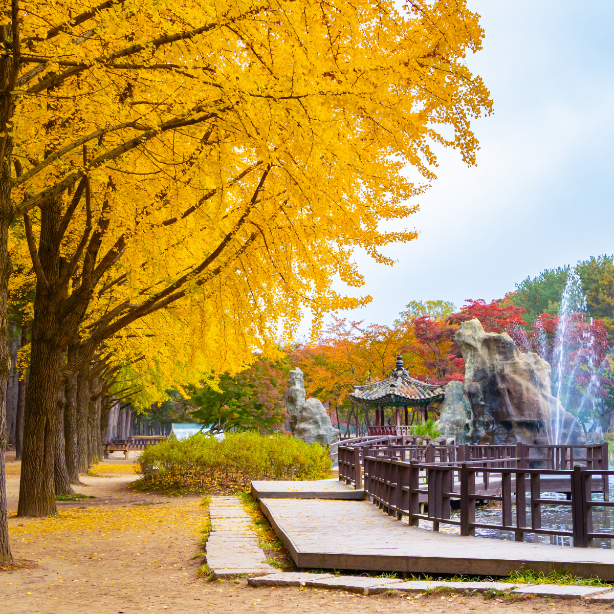 nami island, korea