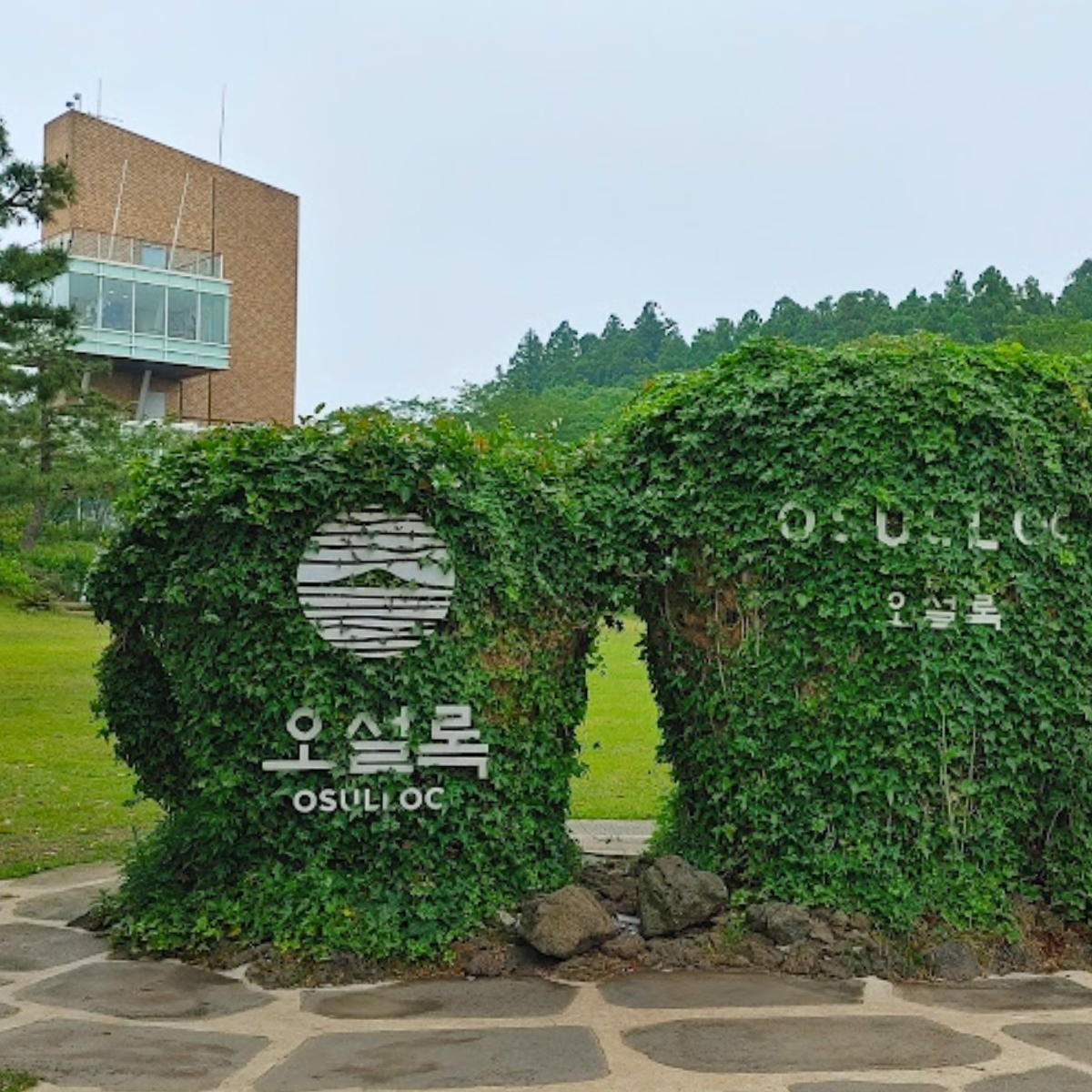 osulloc tea farm, korea