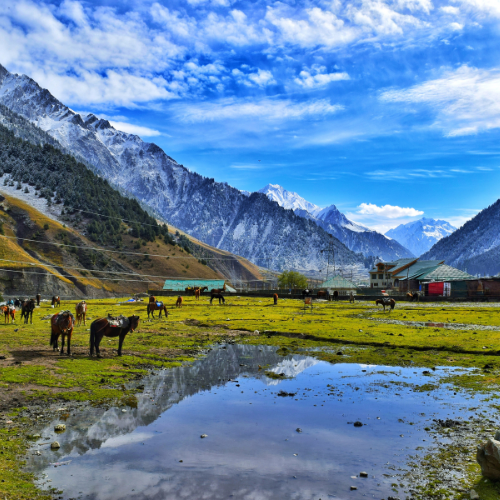 pahalgam, kashmir