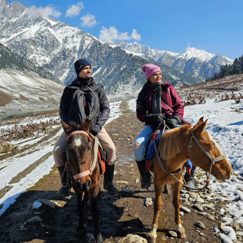 naik kuda di kashmir
