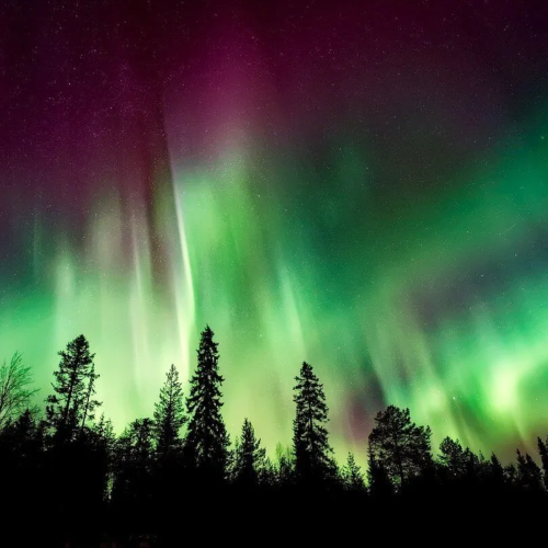 lihat aurora borealis