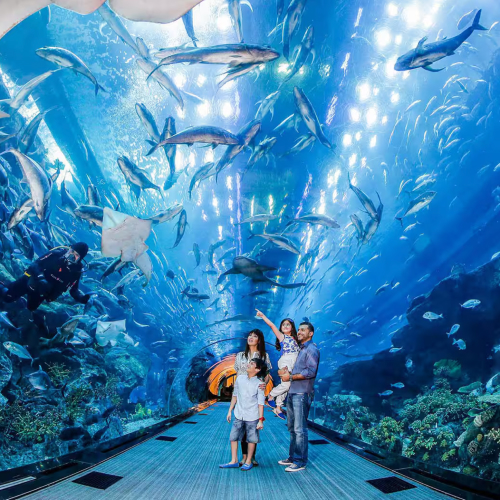 aquarium & underwater zoo, dubai