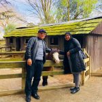 melancong ke new zealand