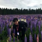 melancong ke new zealand
