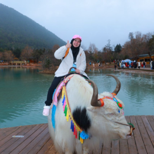 pakej kunming arba travel