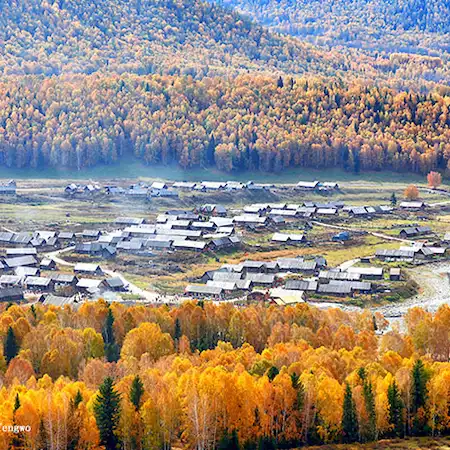 trip xinjiang hemu village