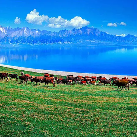 trip xinjiang photostop sayram lake