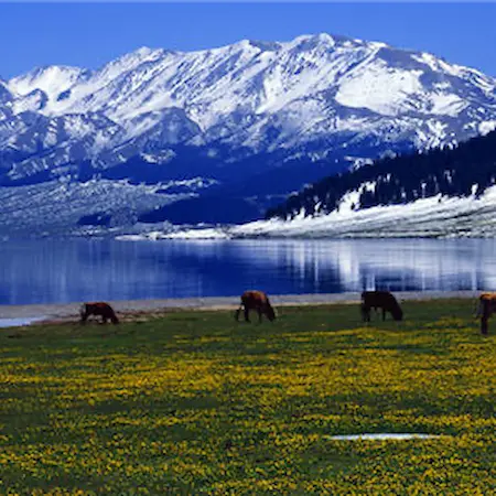 trip xinjiang sayram lake