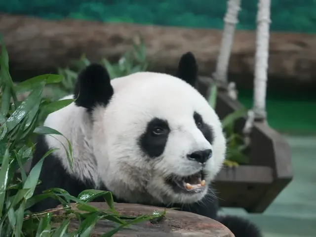 Pakej group tour ke Chengdu 3 Bandar