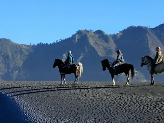 Pakej private tour ke Surabaya - Malang